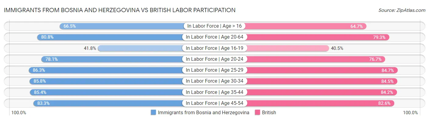 Immigrants from Bosnia and Herzegovina vs British Labor Participation
