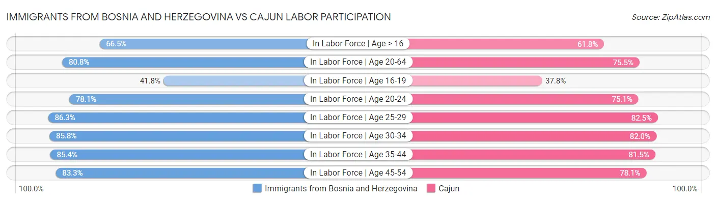 Immigrants from Bosnia and Herzegovina vs Cajun Labor Participation