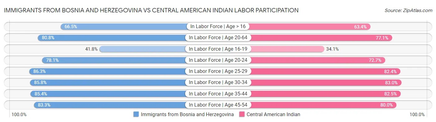 Immigrants from Bosnia and Herzegovina vs Central American Indian Labor Participation