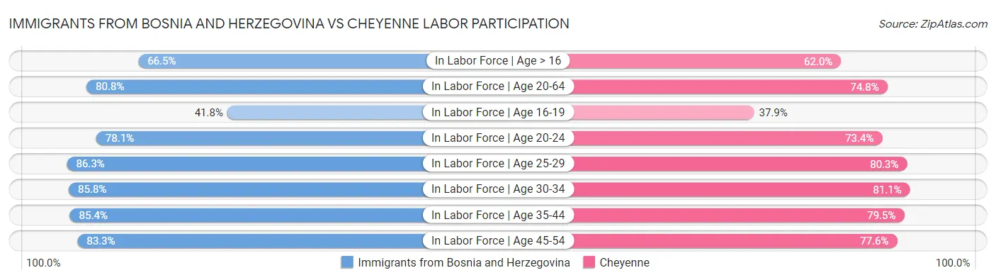 Immigrants from Bosnia and Herzegovina vs Cheyenne Labor Participation