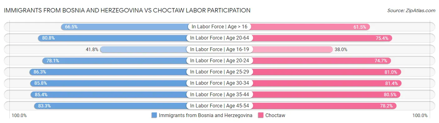 Immigrants from Bosnia and Herzegovina vs Choctaw Labor Participation