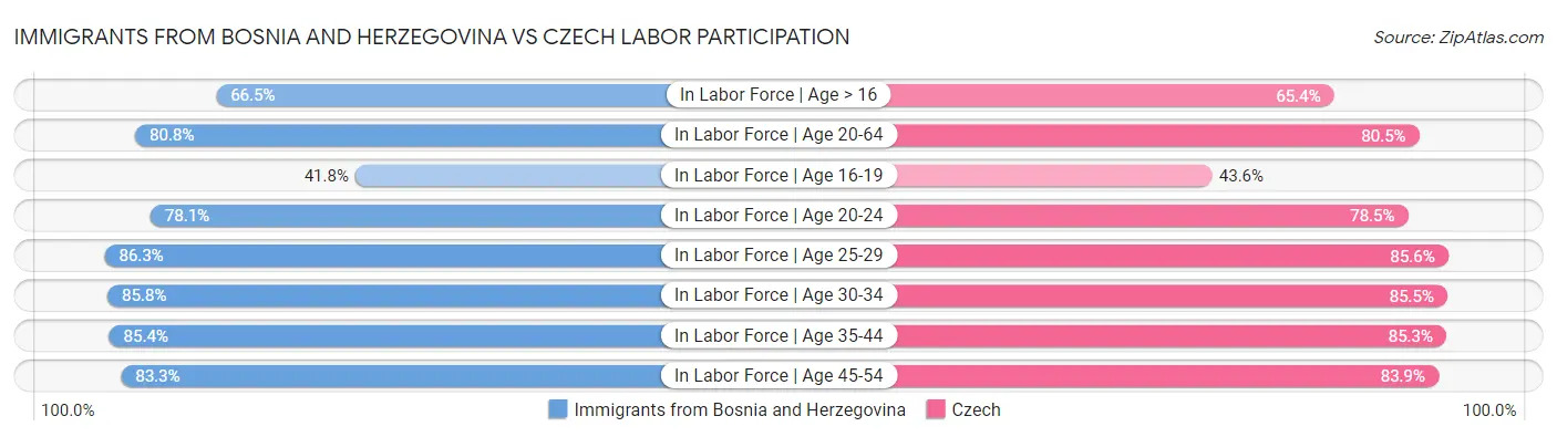 Immigrants from Bosnia and Herzegovina vs Czech Labor Participation