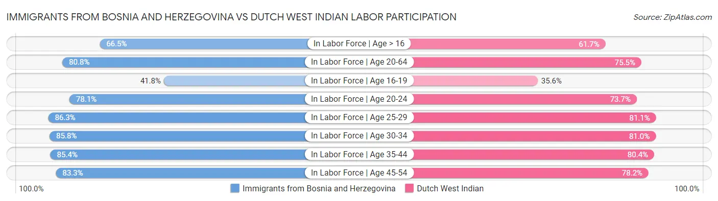 Immigrants from Bosnia and Herzegovina vs Dutch West Indian Labor Participation