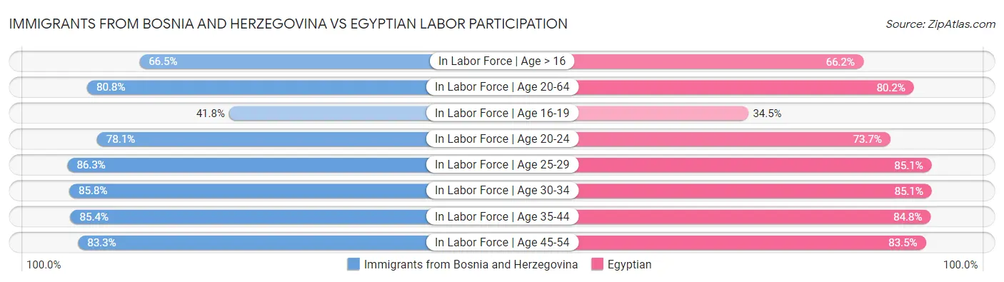 Immigrants from Bosnia and Herzegovina vs Egyptian Labor Participation