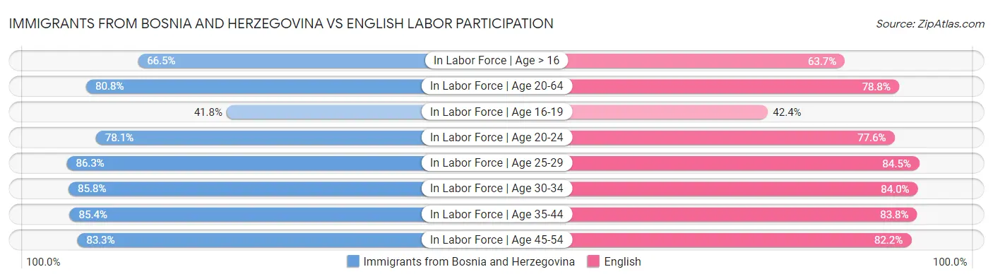 Immigrants from Bosnia and Herzegovina vs English Labor Participation
