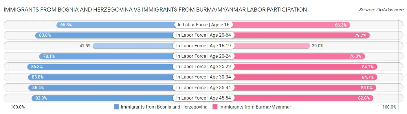 Immigrants from Bosnia and Herzegovina vs Immigrants from Burma/Myanmar Labor Participation
