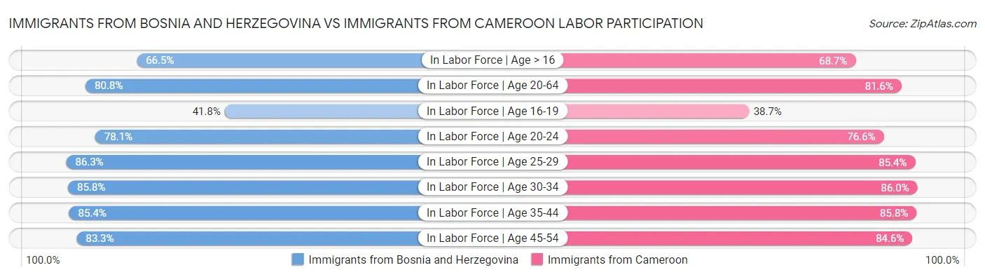 Immigrants from Bosnia and Herzegovina vs Immigrants from Cameroon Labor Participation