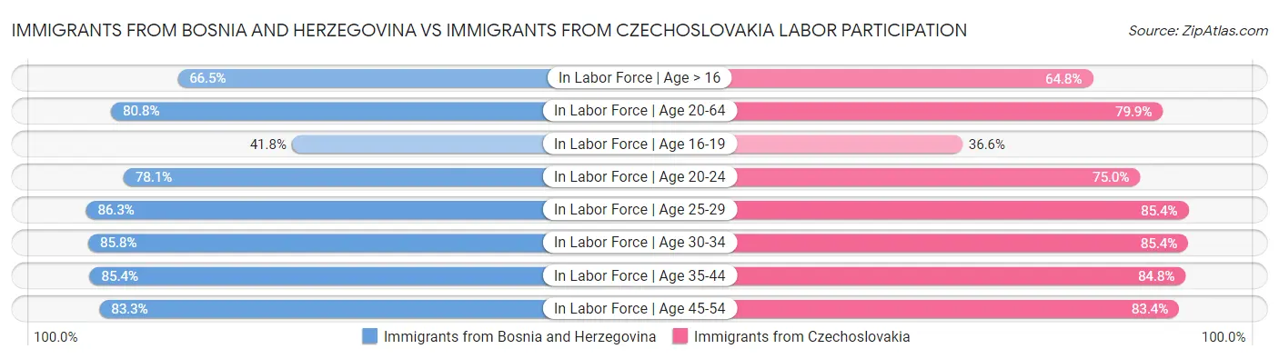 Immigrants from Bosnia and Herzegovina vs Immigrants from Czechoslovakia Labor Participation