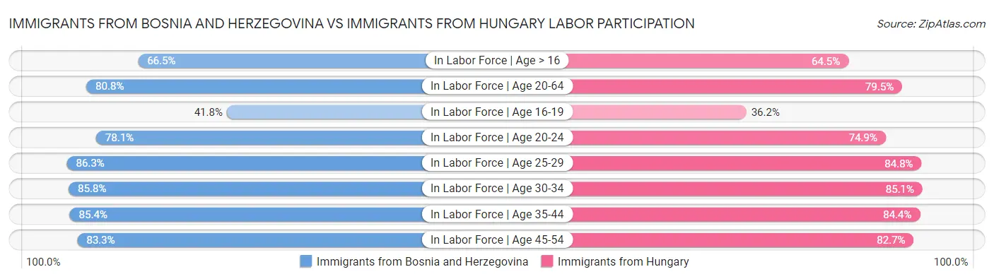 Immigrants from Bosnia and Herzegovina vs Immigrants from Hungary Labor Participation