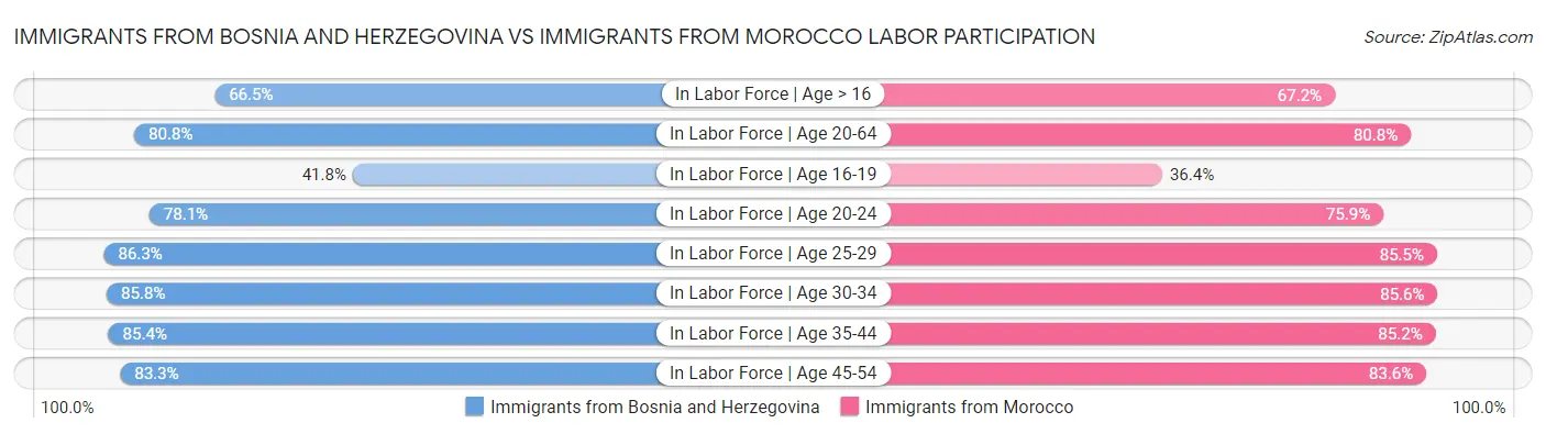 Immigrants from Bosnia and Herzegovina vs Immigrants from Morocco Labor Participation