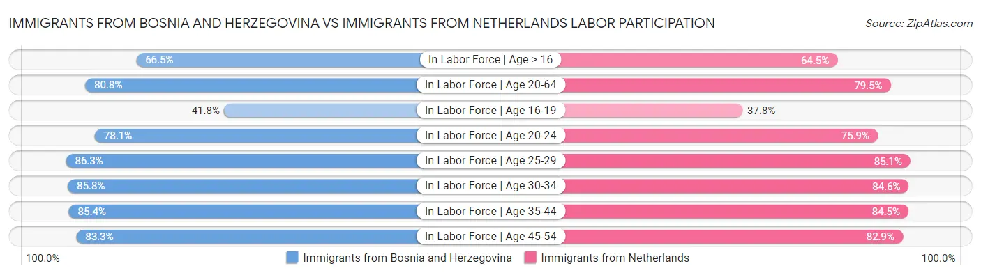 Immigrants from Bosnia and Herzegovina vs Immigrants from Netherlands Labor Participation