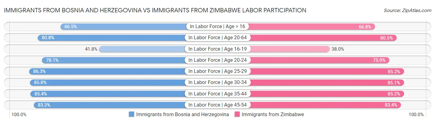 Immigrants from Bosnia and Herzegovina vs Immigrants from Zimbabwe Labor Participation