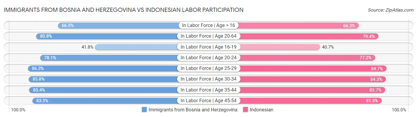 Immigrants from Bosnia and Herzegovina vs Indonesian Labor Participation
