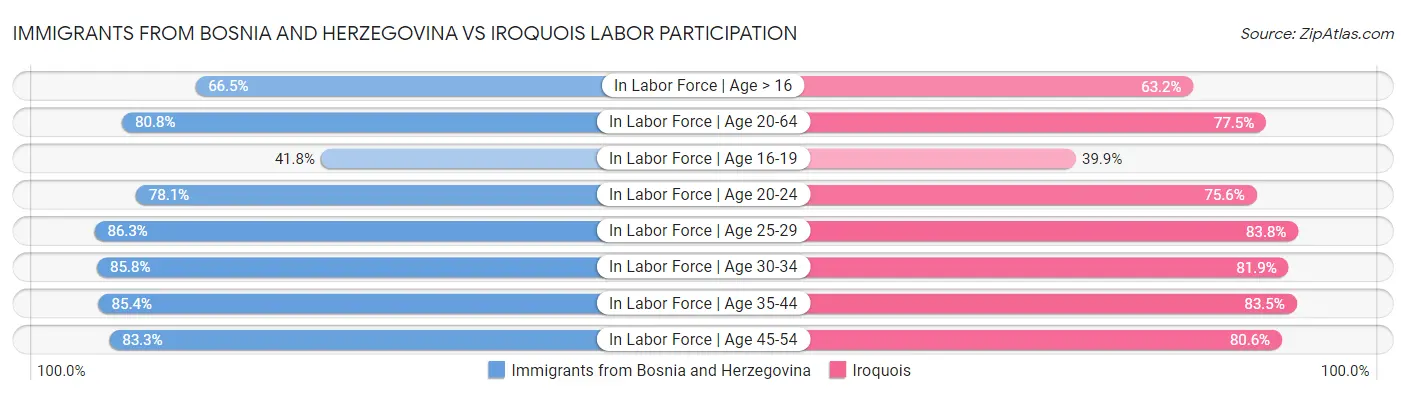 Immigrants from Bosnia and Herzegovina vs Iroquois Labor Participation