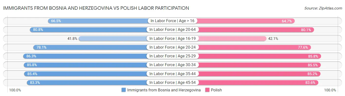 Immigrants from Bosnia and Herzegovina vs Polish Labor Participation