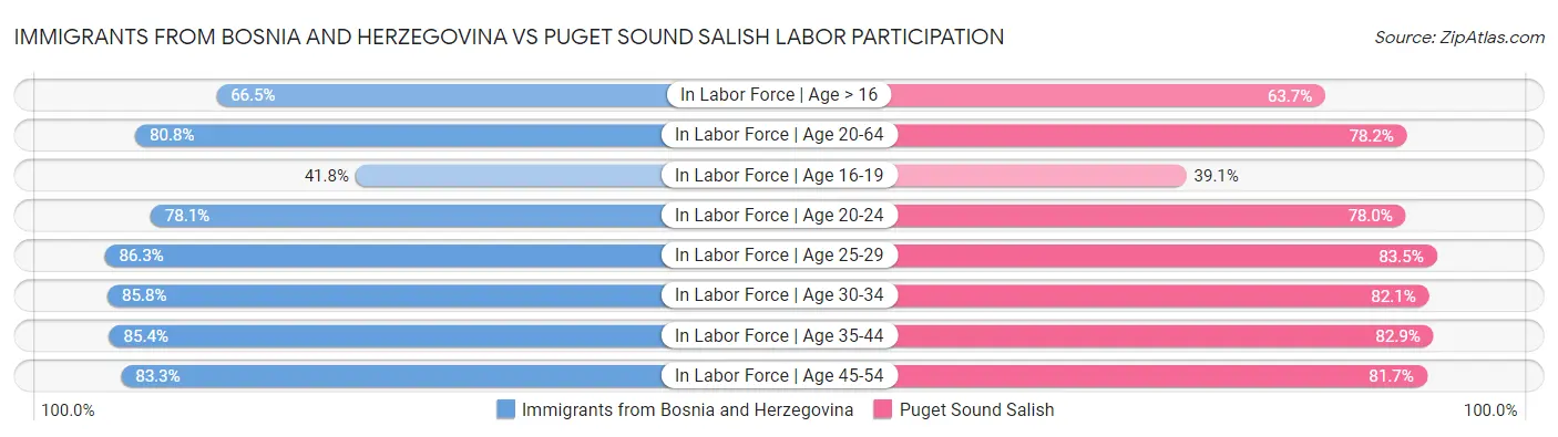 Immigrants from Bosnia and Herzegovina vs Puget Sound Salish Labor Participation