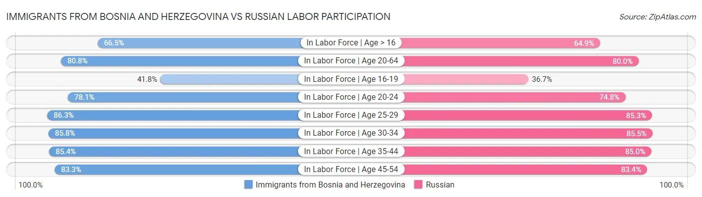 Immigrants from Bosnia and Herzegovina vs Russian Labor Participation