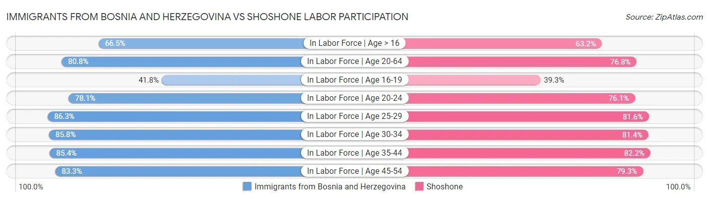 Immigrants from Bosnia and Herzegovina vs Shoshone Labor Participation