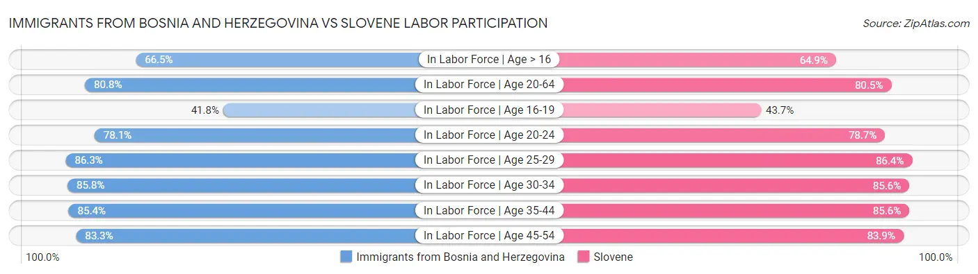 Immigrants from Bosnia and Herzegovina vs Slovene Labor Participation