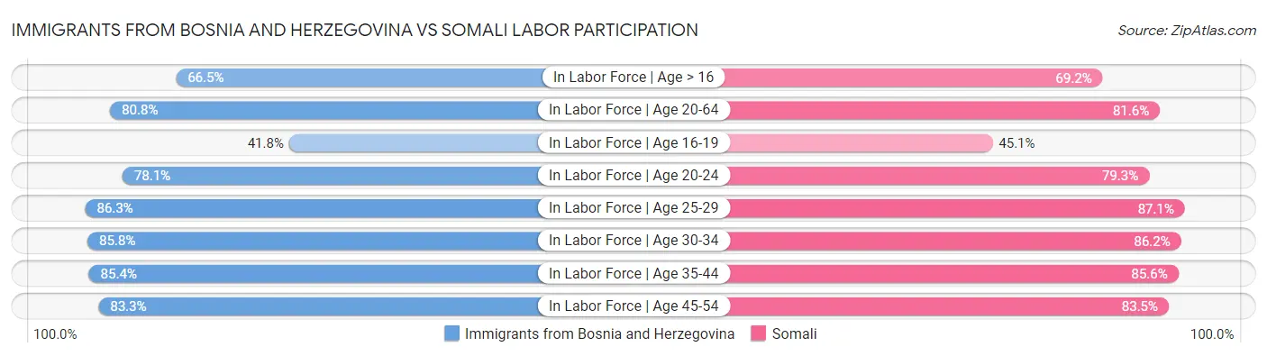 Immigrants from Bosnia and Herzegovina vs Somali Labor Participation