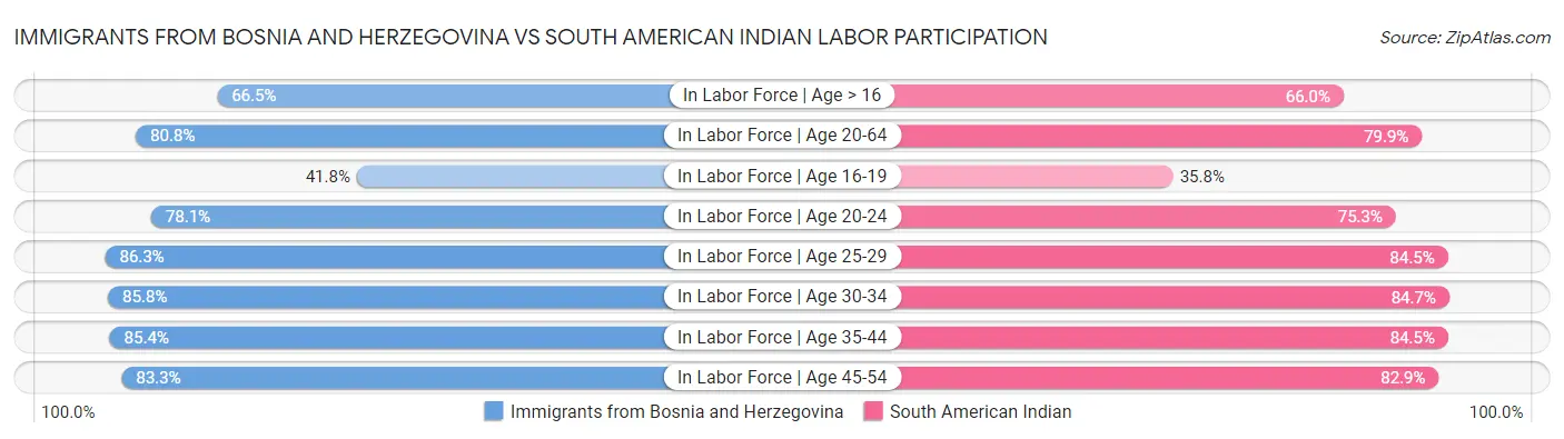 Immigrants from Bosnia and Herzegovina vs South American Indian Labor Participation