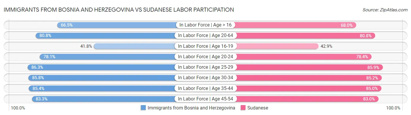 Immigrants from Bosnia and Herzegovina vs Sudanese Labor Participation
