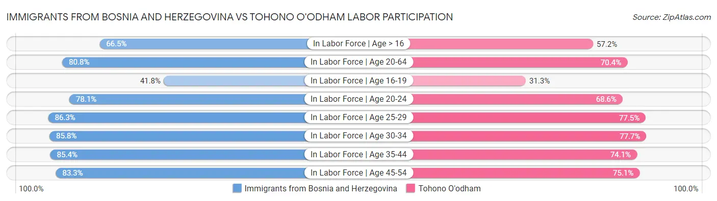 Immigrants from Bosnia and Herzegovina vs Tohono O'odham Labor Participation