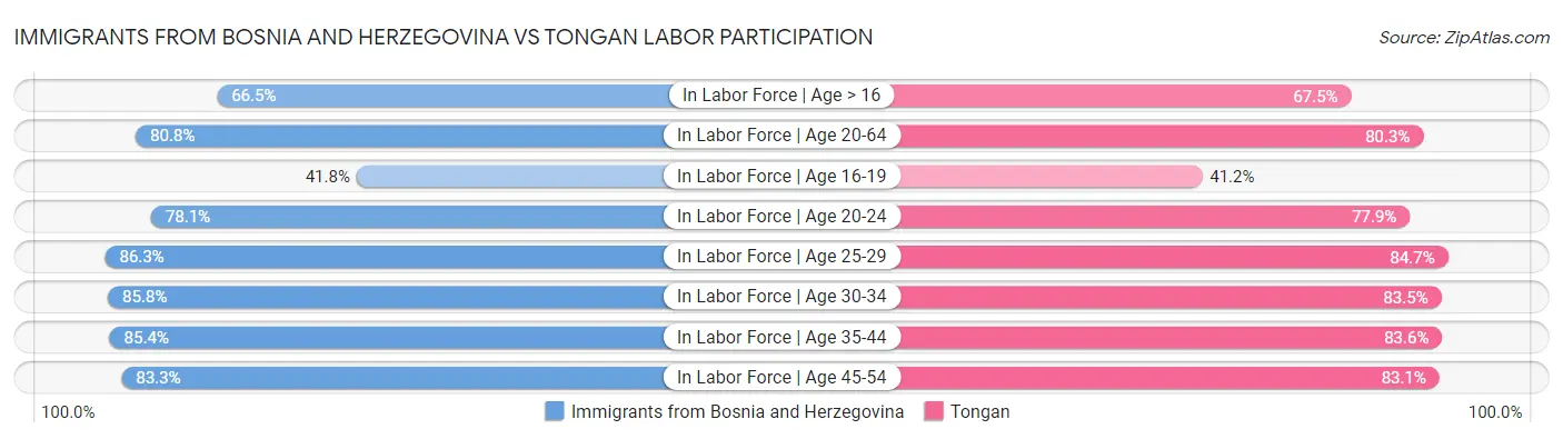 Immigrants from Bosnia and Herzegovina vs Tongan Labor Participation