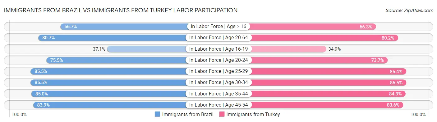 Immigrants from Brazil vs Immigrants from Turkey Labor Participation