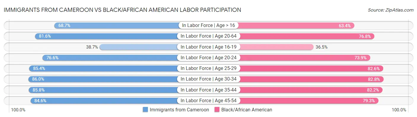 Immigrants from Cameroon vs Black/African American Labor Participation