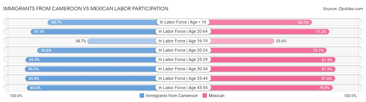 Immigrants from Cameroon vs Mexican Labor Participation