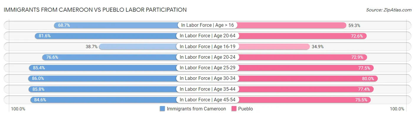 Immigrants from Cameroon vs Pueblo Labor Participation