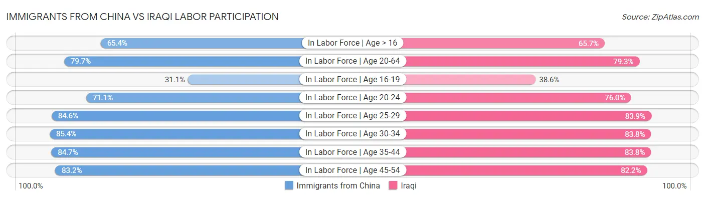 Immigrants from China vs Iraqi Labor Participation