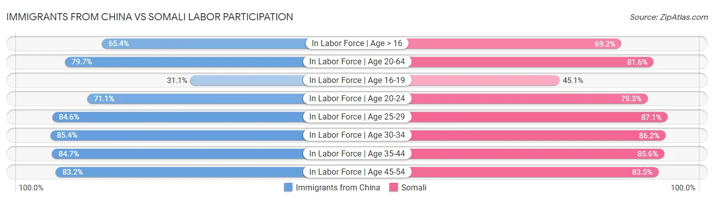 Immigrants from China vs Somali Labor Participation