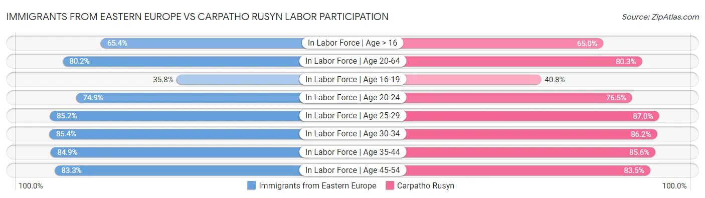 Immigrants from Eastern Europe vs Carpatho Rusyn Labor Participation