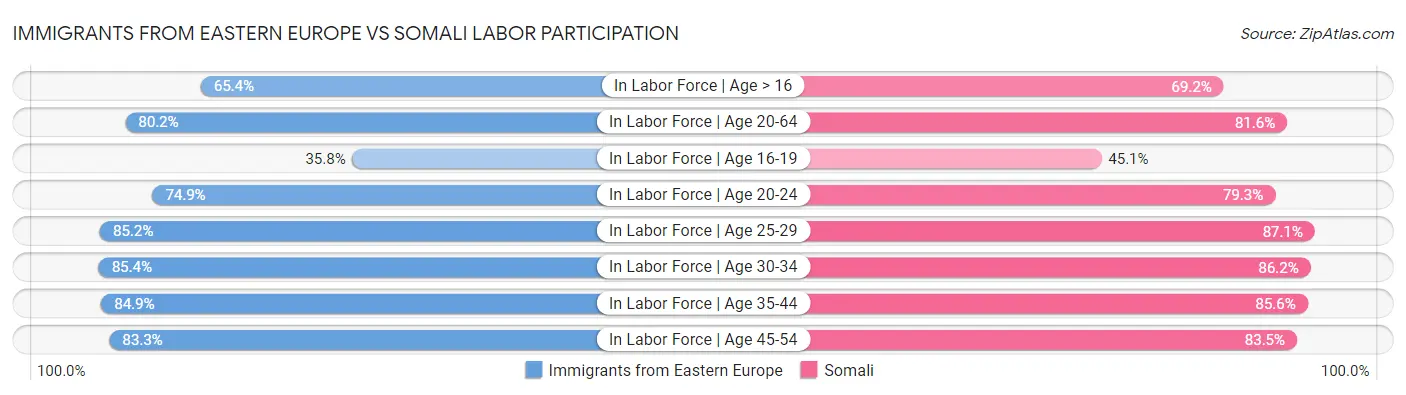 Immigrants from Eastern Europe vs Somali Labor Participation