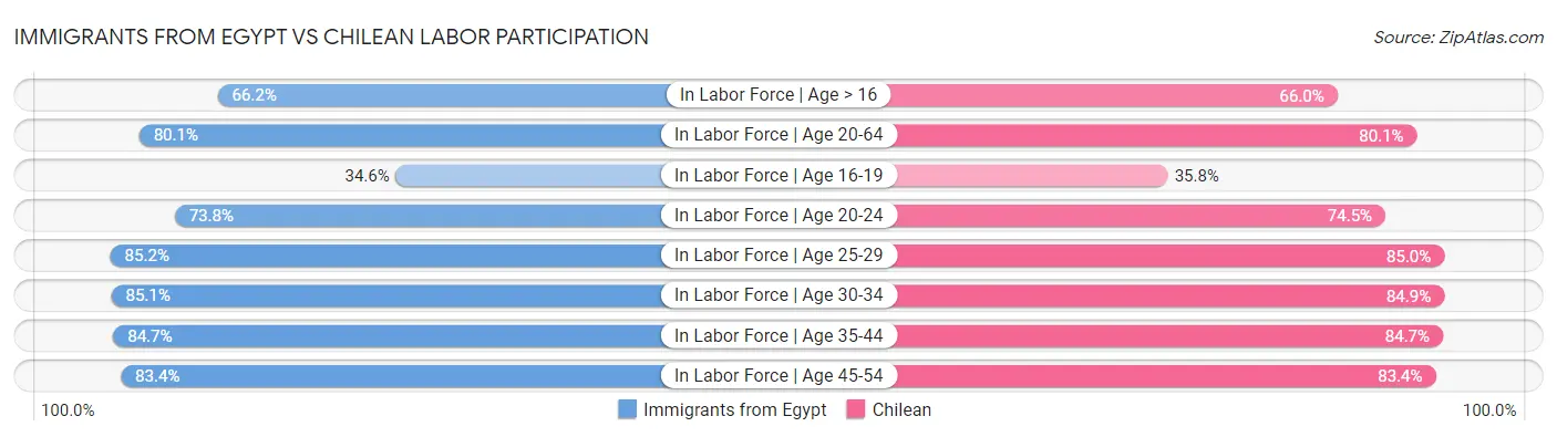 Immigrants from Egypt vs Chilean Labor Participation