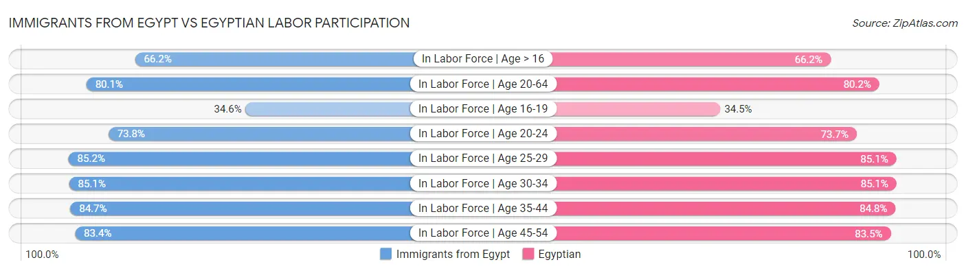 Immigrants from Egypt vs Egyptian Labor Participation