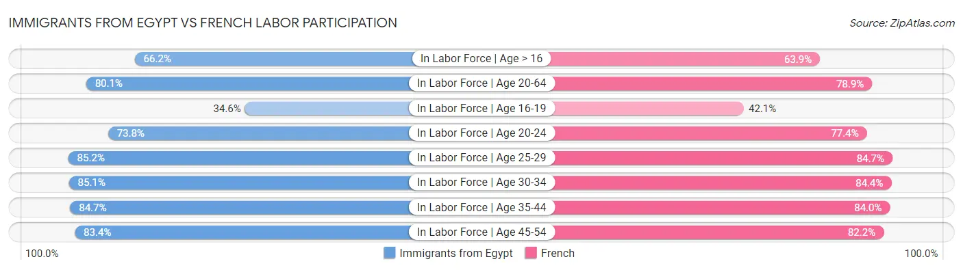 Immigrants from Egypt vs French Labor Participation