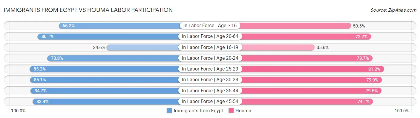 Immigrants from Egypt vs Houma Labor Participation