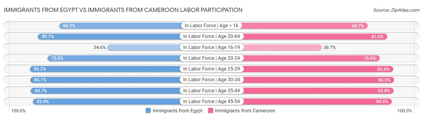 Immigrants from Egypt vs Immigrants from Cameroon Labor Participation