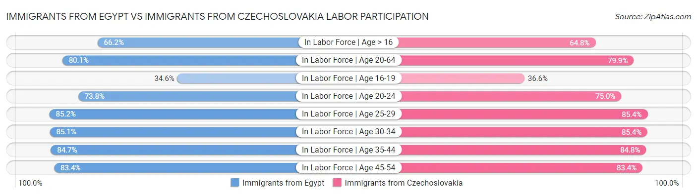 Immigrants from Egypt vs Immigrants from Czechoslovakia Labor Participation