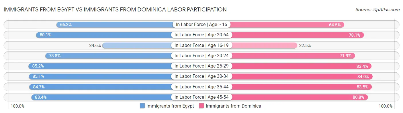 Immigrants from Egypt vs Immigrants from Dominica Labor Participation