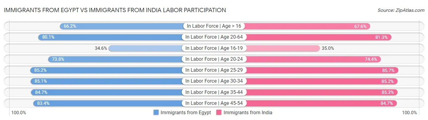 Immigrants from Egypt vs Immigrants from India Labor Participation