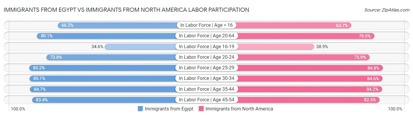 Immigrants from Egypt vs Immigrants from North America Labor Participation