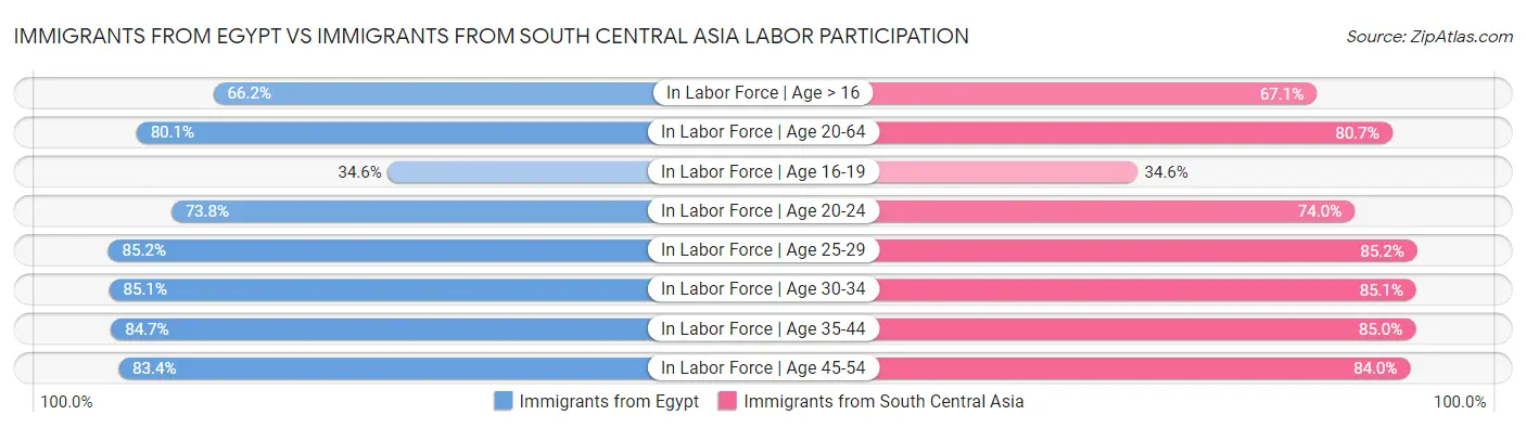 Immigrants from Egypt vs Immigrants from South Central Asia Labor Participation
