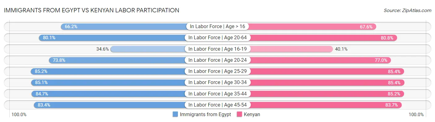Immigrants from Egypt vs Kenyan Labor Participation
