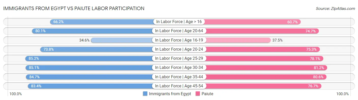 Immigrants from Egypt vs Paiute Labor Participation
