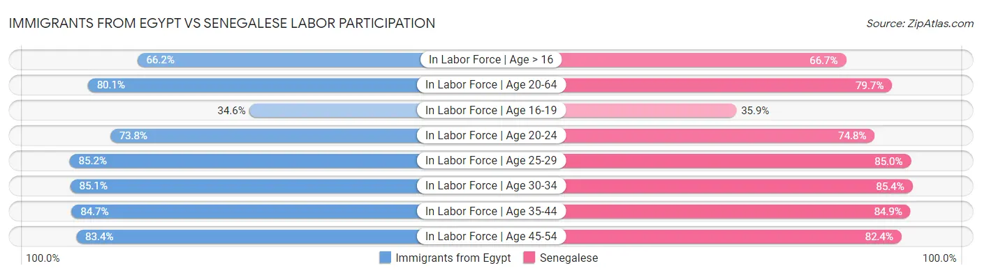 Immigrants from Egypt vs Senegalese Labor Participation