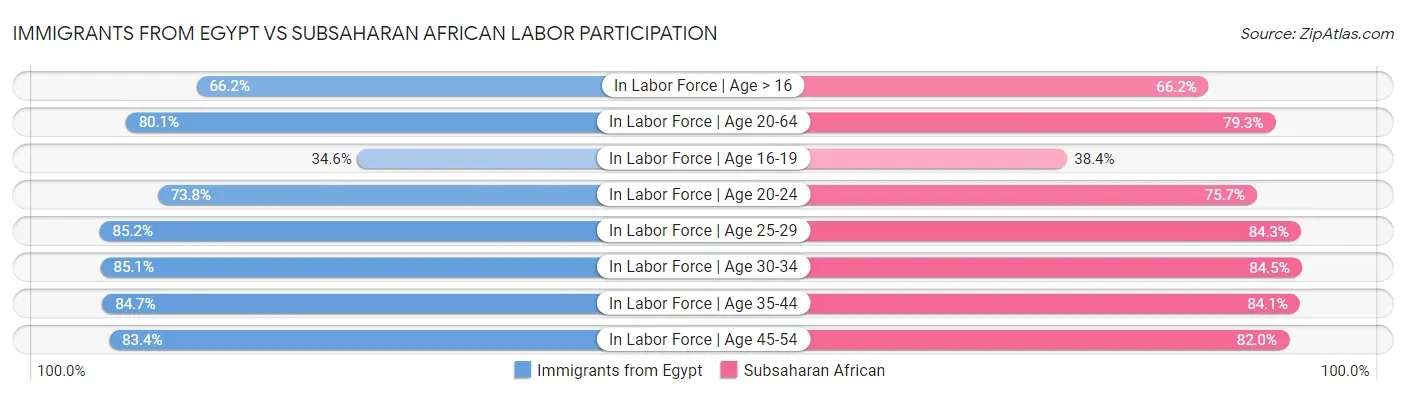 Immigrants from Egypt vs Subsaharan African Labor Participation
